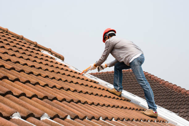 Best Asphalt Shingle Roofing  in Gold Canyon, AZ